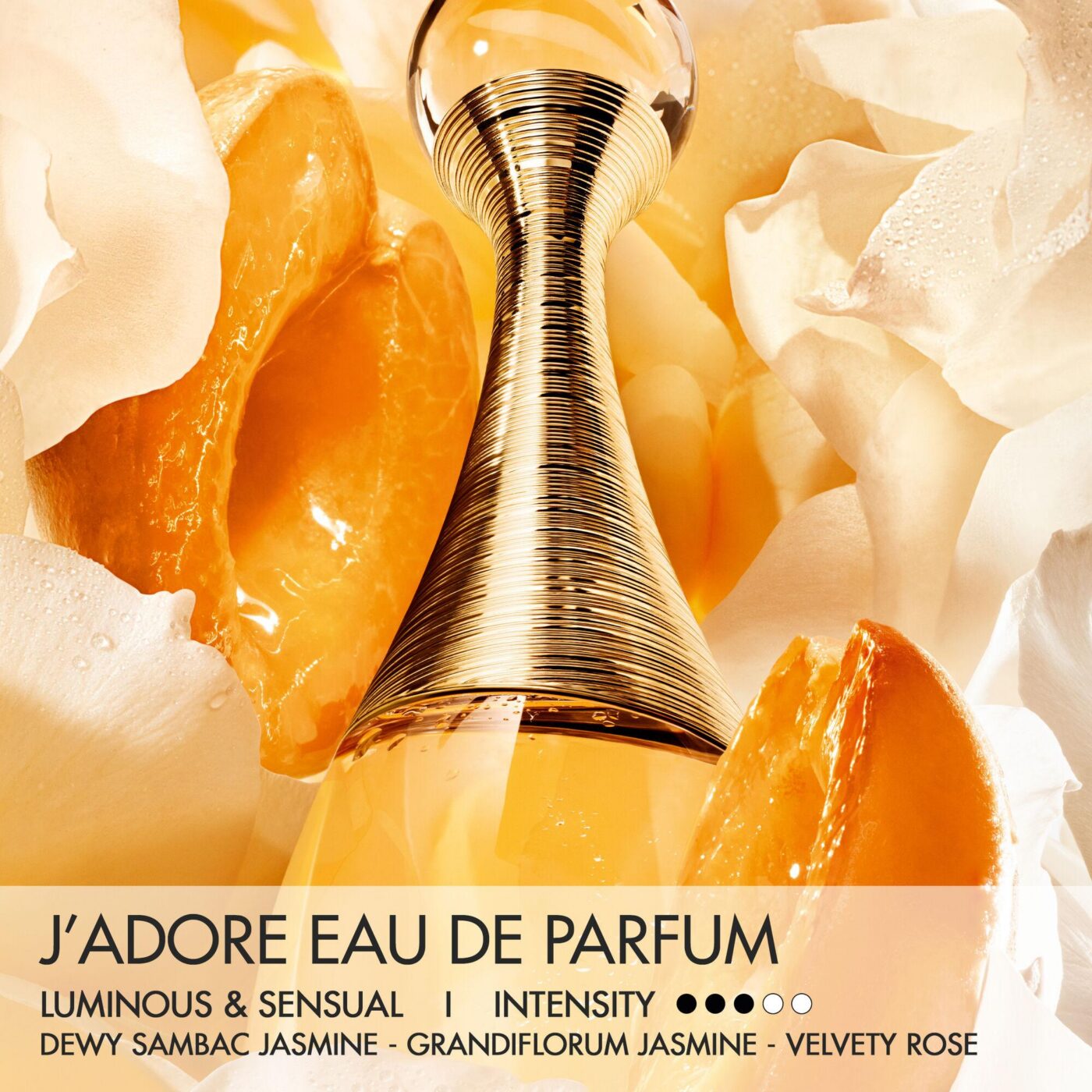 dior jadore 3